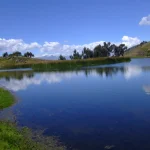 Proyecto nuevo - 2025-03-13T155526.138
