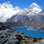 cedros1