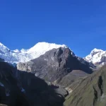cedros4